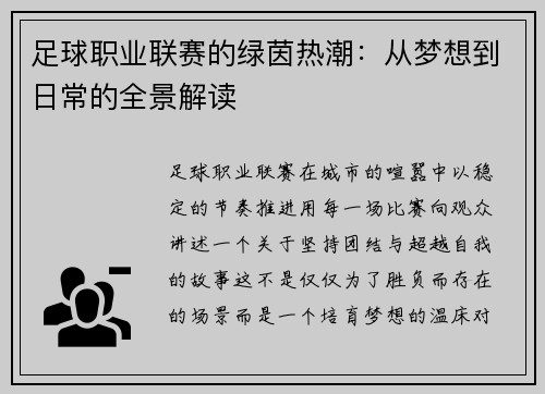 足球职业联赛的绿茵热潮：从梦想到日常的全景解读